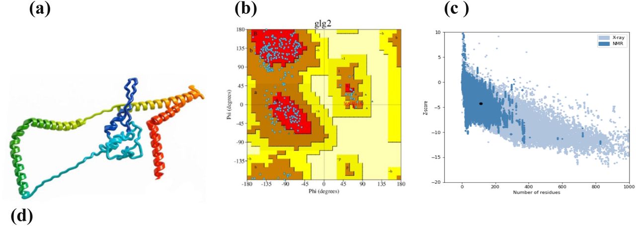 Quality assessment of the refined vaccine construct. Various assessments confirmed the high quality of the refined structure. (a) Refined 3D structure of the vaccine construct, (b) Ramachandran plot analysis, (c) Z-score distribution, (d) ERRAT quality factor, (e) VERIFY-3D score, and (f) Normalized B-factor values. These results indicate that the refined structure is accurate and reliable, providing a solid foundation for further analysis and simulations