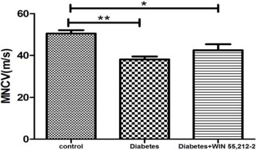 Effect of treatment with WIN 55, 212-2 (100 µg/10 µl, IT) on motor nerve conduction velocity. Values are expressed as mean ± SEM. *P<0.05 and **P<01 compared to control group