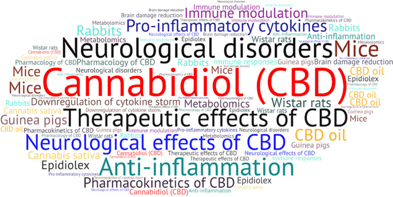 Word cloud showing the terms used in the included studies, the size of the words corresponds to the frequency of their use
