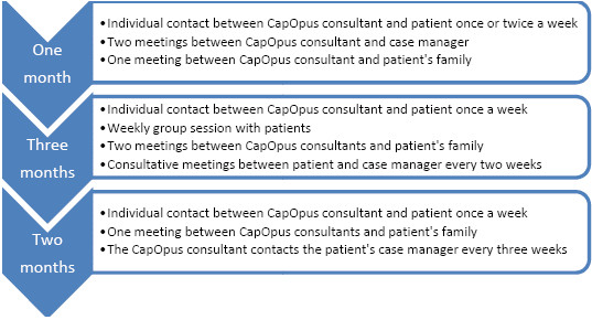 Schematic timeline of the CapOpus intervention.