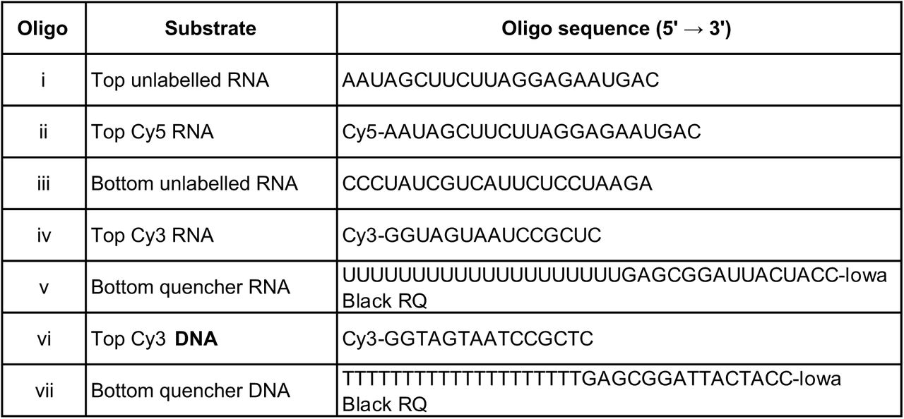 Substrate oligos