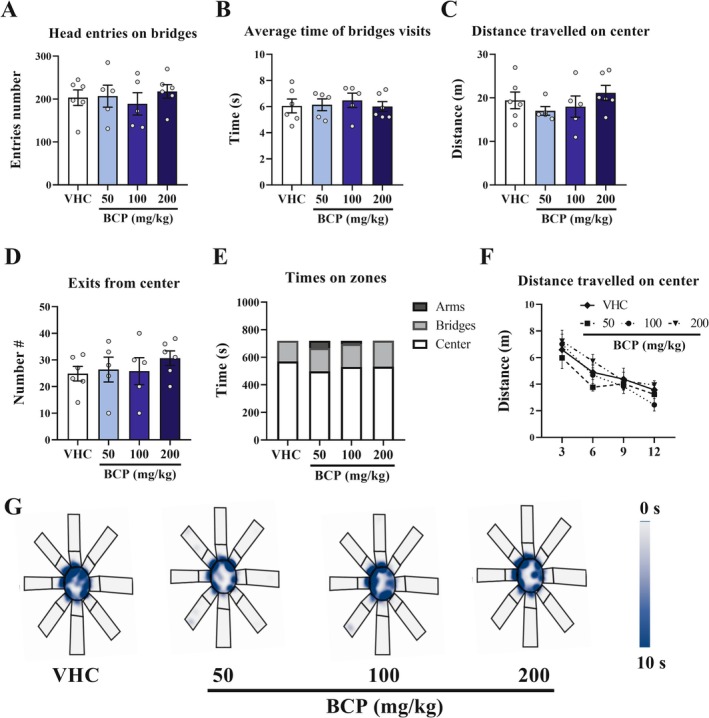 Anxiety‐like behavior results from acute pharmacological assay by OTP: The 3D maze test was performed 30 min after VHC or BCP oral administrations and the test lasted 12 min, as well as the entries schedule were randomly between groups. (A) Number of head entries on bridges. (B) Average time of bridges visits (s). (C) Distance travelled on center (m). (D) Number of exits from center. (E) Time spent on zones (s). (F) Distance travelled on center by segments of test; (G) Heat map of groups' trajectory. All data were expressed as mean (E) or mean ± SEM (A, B, C, D, F), whereas the time in zones were expressed as mean. At all analyses, there are no significant differences between groups: p > 0.05.