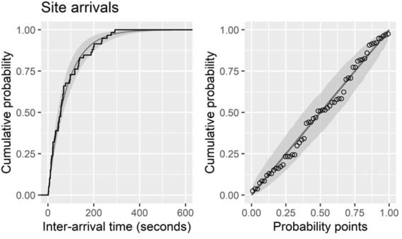 Cumulative distribution function and probability-probability plot showing the goodness of fit of the exponential distribution to empirical site inter-arrival time data (n=60), obtained on 25 January 2021 at Vaccination Centre A.