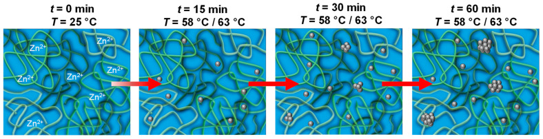 Schematic illustration of the ZnO formation through CBD starting from a methanolic ZnO precursor solution. The organic additive PVP (green strings) forms an entangled network in which the zinc ions are homogeneously distributed. Upon heating, ZnO particles (grey spheres) are continuously formed, which eventually aggregate into clusters.