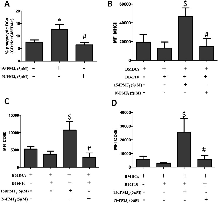 The α,β-unsaturated carbonyl moiety in 15dPMJ2 is required for DC activation by 15dPMJ2-treated tumorigenic melanocytes.(A) B16F10 cells were prelabeled with CellTracker Green-CMFDA and then treated with vehicle (0.1%DMSO), 5 μM 15dPMJ2 or 5 μM neutral-15dPMJ2 (N-PMJ2) for 24 hours. Differentiated DCs were co-incubated with the B16F10 cells for 2 hours. Phagocytic DCs were detected as CD11c+CMFDA+ cells. (B–D) DCs were co-cultured for 24 hours with B16F10 cells that were treated with vehicle, 5 μM 15dPMJ2 or 5 μM N-PMJ2 or the DCs were cultured without B16F10 cells. The expression of (B) MHCII, (C) CD80 and (D) CD86 on the surface of DCs was detected by conducting flow cytometric analysis. The data were analyzed using one-way ANOVA followed by Tukey’s multiple comparison test and values are represented as the mean fluorescence intensity (MFI) ± SEM of three independent experiments. * p < 0.05, sample compared to DCs co-cultured with vehicle-treated B16F10 cells; # p < 0.05, sample compared to 15dPMJ2-treated co-cultures; $ p < 0.05, sample compared to DCs cells cultured without melanocytes.