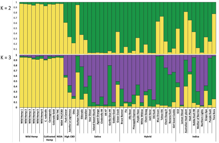 Bayesian clustering analysis from STRUCTURE with the proportion of inferred ancestry for two genetic groups (K=2, top), and for three genetic groups (K=3, bottom), Each individual is represented as a single bar in the graph.