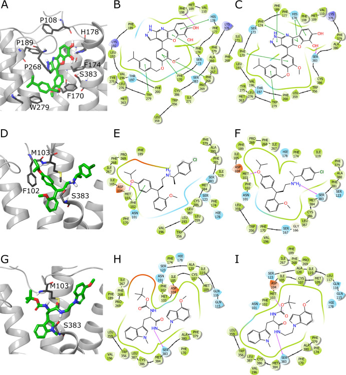 Putative binding modes of compounds 30 (ZINC000217658088), 34 (ZINC000001832514), and 43 (ZINC000263585252). Compound 30 pose obtained from docking with Glide XP (A) and 2D interaction schemes from Glide XP (B) and Glide XP with constraints on forming an H-bond with Ser383 (C). Analogically, panels (D–F) depict poses and binding modes predicted by Glide SP for compound 34, while panels (G–I) for 43. Ligands are depicted in green stick representation, amino acids that are crucial for ligand binding—grey stick representation. Purple arrow—H-bond; green line—π–π interaction. Parts of TM6 and TM7 not shown to increase readability.