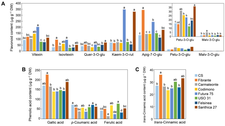 Sprout flavonoid (A), phenolic acid (B), and trans-cinnamic acid (C) content across the eight genotypes investigated. Quer-3-O-glu, Quercetin-3-O-glucoside; Kaem-3-O-rut, Kaempferol-3-O-rutinoside; Apig-7-O-glu, Apigenin-7-O-glucoside; Petu-3-O-glu, Petunidin-3-O-glucoside; Malv-3-O-glu, Malvidin-3-O-glucoside. For each compound, different lower-case letters above the bars indicate significant differences among genotypes according to Tukey’s HSD test (p < 0.05).