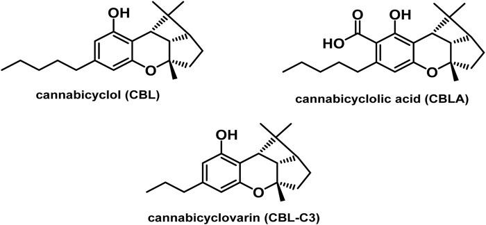 Types of cannabicyclols.