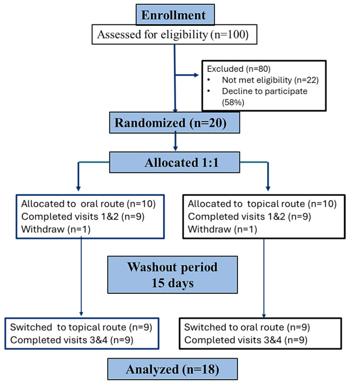 CONSORT flow diagram of participants who participated in the study, according to the CONSORT 2010 Statement.