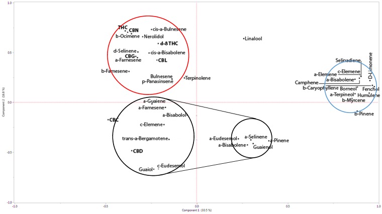 Principal Components Analysis (PCA) with phytocannabinoid–phytocannabinoid and phytocannabinoid–terpenoid correlations calculated for THCA and CBDA affinity. (For information regarding specific strains and chemotyping, see Supplementary Table S1). THCA co-related compounds are circled in red, while CBDA co-related compounds are circled in black. Strong correlations are indicated by larger circles, smaller correlations with smaller circles. Independent compounds, showing weak correlations to either THCA or CBDA are circled in blue. THCA: Δ9-tetrahydrocannabinolic acid; CBDA: cannabidiolic acid.
