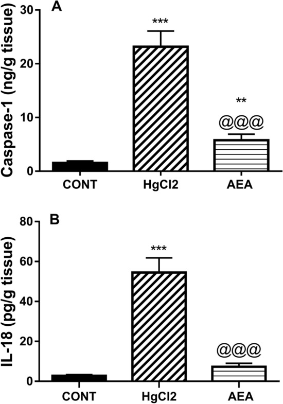 Effect of AEA on renal content of (A) caspase-1 and serum level (B) IL-18 in HgCl2-induced AKI in rats. Data are expressed as the mean of 6 rats ± SD. **P < 0.01 and ***P < 0.001 compared with CONT and @@@P < 0.001 compared with HgCl2 groups using one-way ANOVA followed by Tukey's Multiple Comparison post hoc test. AEA anandamide, AKI acute kidney injury, CONT control, HgCl2 mercuric chloride, IL-18 interleukin 18.
