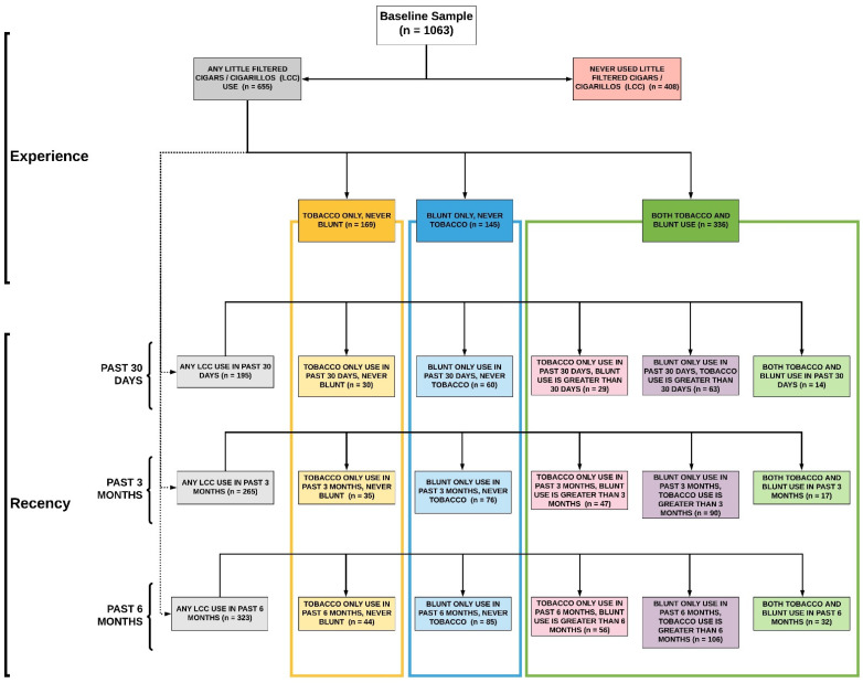 LCC Use Heterogeneity: Modality and Timing of Last Use.
