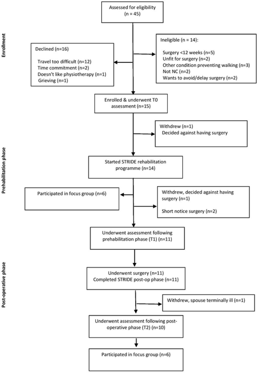 CONSORT flow of participants