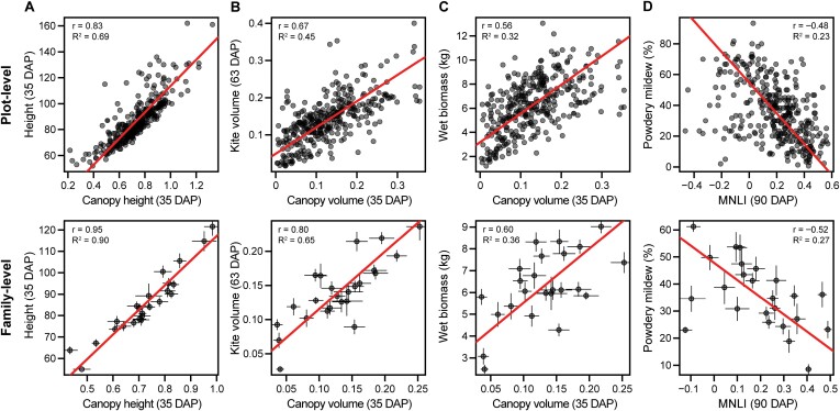 Relationships of field phenotypes and aerial indices. For (A–D), the top figure is plot-level regression and the lower figure is family-level (mean ±SE). Regression of (A) kite volume and canopy volume, (B) height and canopy height, (C) biomass yield and canopy volume, and (D) powdery mildew severity and modified non-linear index (MNLI).