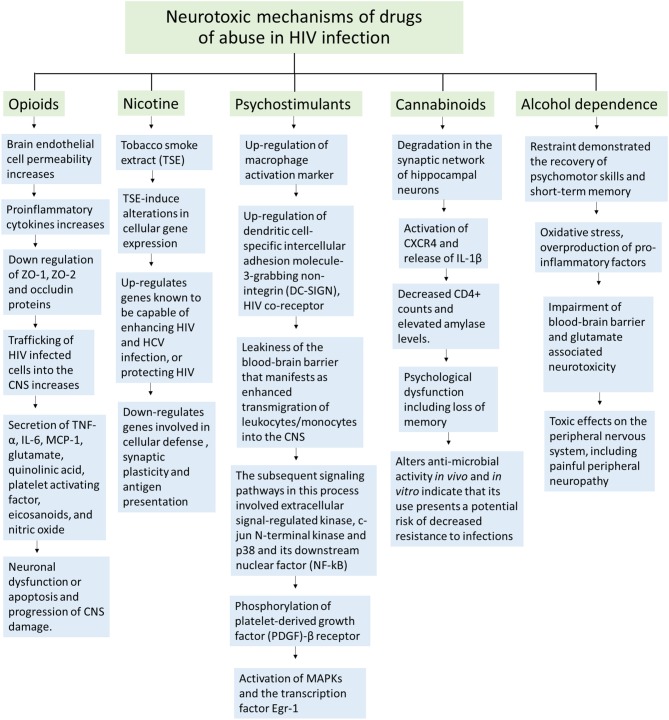 Schematic representation of neurotoxic mechanisms of different illicit drugs of abuse in HIV infection.