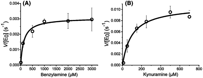 (A) Steady‐state kinetics plot of MAO‐B turnover, varying [Benzylamine 11], Conditions, 30 μm MAO‐B, 50 mm HEPES, pH 7.5 + 0.5% Triton X‐100. (B) Steady‐state kinetics plot of MAO‐A turnover, varying [kynuramine 12]. Conditions, 20 μm MAO‐A, 50 mm HEPES, pH 7.5 + 0.5% Triton X‐100 All data were recorded in triplicate and error bars represent the standard error.
