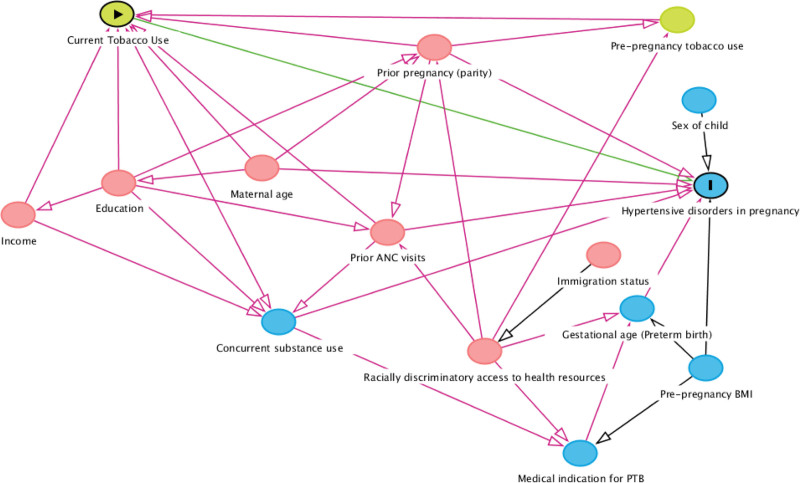 Directed acyclic graph (DAG) of hypothesized relationships between exposure, outcomes, confounders, and covariates.