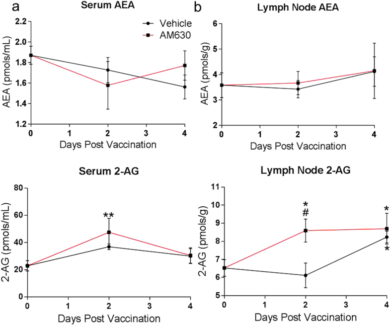 2-AG level is upregulated in serum and lymph nodes of vaccinated mice.To evaluate the levels of endocannabinoids in serum and lymph nodes during vaccination in mice, animals were immunized with P-11 mixed-antigen vaccine formulated in alum. Groups of 8 weeks old mice (n = 4) were treated with either 10 mg/kg AM630 or vehicle for 0, 2, or 4 days post vaccination. At each time point, mice were sacrificed and serum and lymph node tissues are harvested. Lipid analysis was then performed on sera and lymph nodes tissues to evaluate changes in AEA and 2-AG levels from days 0–4 post-vaccination. (a,b) AEA levels were not significantly altered in serum or lymph nodes of AM630 or vehicle treated mice at days 2 or 4 post-vaccination. (c,d) 2-AG levels are upregulated in serum and lymph nodes of AM630 and Vehicle treated mice during vaccination, but levels in the lymph nodes of AM630 treated mice are significantly higher at day 2 post-vaccination. Results are expressed as mean ± SD; n = 4/group. Statistical comparison of means was conducted by Kruskal-Wallis test, followed by Dunn’s multiple comparisons test, *p < 0.05 or **p < 0.01, compared with day 0 control mice. #p < 0.05, compared with vehicle treated mice.