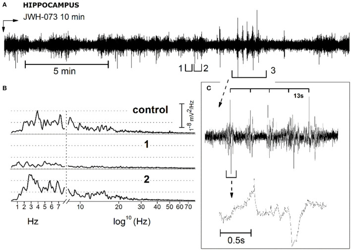 Description and analysis of unusual electrical EEG hippocampal activity resulting from JWH-073 administration. (A) Representative EEG recording. Segments tagged as 1 and 2, points to characteristic short traits frequently present only after JWH-073 administration. Panel (B) compares the FFT of control (recorded soon before JWH-073), complex 1, complex 2. Similar to Figure 9, X axis has been broken: linear between 0.05 and 8 Hz, logarithmic from 8.01 to 150 Hz. (C) Analysis of segment 3. Top: segment “3” at a faster time scale. Time scale bar above the trace identifies a spiking rhythmicity (13 s). Bottom: one of these upper events, shown at a faster speed.