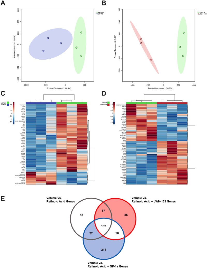 This 5-panel figure shows PCA plots demonstrating the significant degree of gene transcriptional changes in response to (A) GP-1a and (B) JWH-133 treatment of Jurkat T cells. C and D contain heat maps of GP-1a and JWH-133 top differentially regulated genes across n=3 samples. Finally, the data is represented in a Venn diagram showing 47 vehicle + RA unique genes, 85 RA + JWH-133 unique genes and 214 differentially expressed genes unique to RA + GP-1a treatment. There were 132 differentially regulated genes common to all three groups, differing from the vehicle control. There were 57 genes common to RA and RA + JWH-133 groups, 26 genes common to RA + JWH-133 and RA + GP-1a groups and 27 genes common to RA and RA + GP-1a groups.