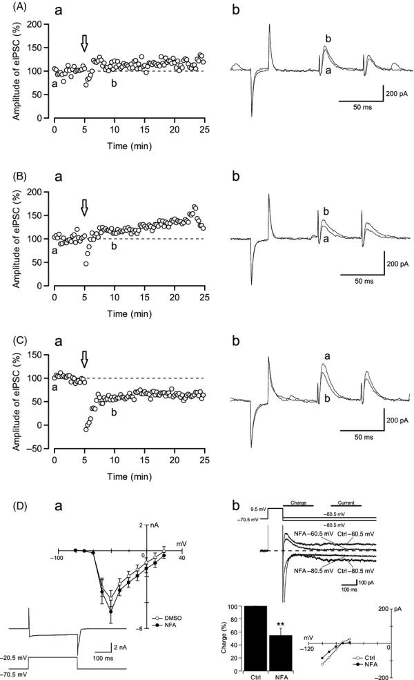 CaCC blockers disturbed DDI occurrence. (A) The experiments were performed using a pipette filled with NFA (10 μmol/L, n = 7), (B) DIDS (10 μmol/L, n = 8), and (C) vehicle (DMSO; 0.01%, n = 6). The left panel (a) represents the time course of the experiments. The right panel (b) shows representative traces from each experiment. The traces of a (before, at t = 0) and b (after, at t = 10) correspond to the timings shown on the left in the figures. Depolarizing trains were applied at t = 5, arrow. (D) a. Current-voltage relationships of calcium currents in the presence of NFA (filled circles, n = 8) and DMSO (open circles, n = 8). Data obtained from vehicle experiments with DMSO were used as a control. Inset; representative trace of voltage-dependent calcium current was recorded at a holding voltage of −70.5 mV to 20.5 mV with NFA in the pipette. b. Representative traces of chloride tail currents, elicited by holding voltages of −80.5 mV and −60.5 mV. NFA blocked the tail current of CaCCs (n = 8). Bar graph shows the effect of NFA on the charge of the tail current (P < 0.01, n = 8). The lower right graph shows the current-voltage relationships of tail currents in the absence and presence of NFA.