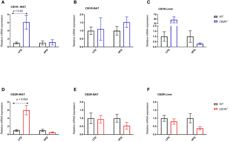 Expression of CB1R and CB2R genes in adipose tissue and liver of female mice Arrows indicate the comparison with WT mice. (A) Relative expression of CB1R in WAT (LFD n = 8-10/group; HFD n = 5-10/group) (B) Relative expression of CB1R in BAT (LFD n = 5-6/group; HFD n = 10-11/group) (C) Relative expression of CB1R in liver (LFD n = 8-13/group; HFD n = 7-13/group) (D) Relative expression of CB2R in WAT (LFD n = 8/group; HFD n = 8-11/group) (E) Relative expression of CB2R in BAT (LFD n = 9-13/group; HFD n = 6-10/group) (F) Relative expression of CB2R in liver (LFD n = 8-13/group; HFD n = 7-14/group).
