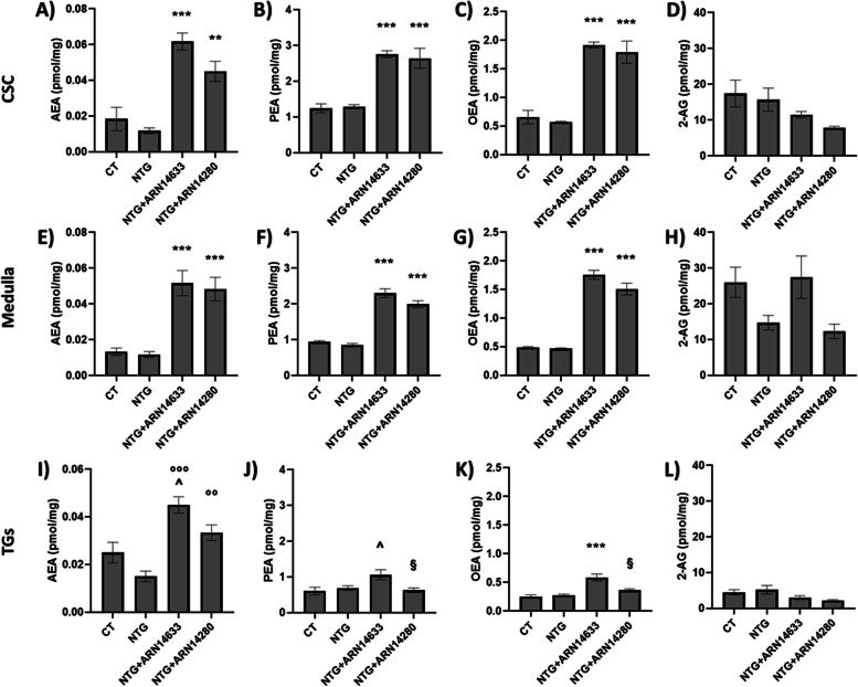 AEA (A, E, I), PEA (B, F, J), OEA (C, G, K) and 2-AG (D, H, L) levels (expressed in pmol/mg) in cervical spinal cord (CSC), medulla and trigeminal ganglia (TGs) of rats treated with NTG vehicle (CT), NTG, NTG + ARN14663 and NTG + ARN14280 (n. 6 per group). Data are expressed as mean ± SEM; Tukey’s multiple comparisons test; **p < 0.01 and ***p < 0.001 vs CT and NTG; °°p < 0.01 and °°°p < 0.001 vs NTG; ^p < 0.05 vs CT; §p < 0.05 vs NTG + ARN14633