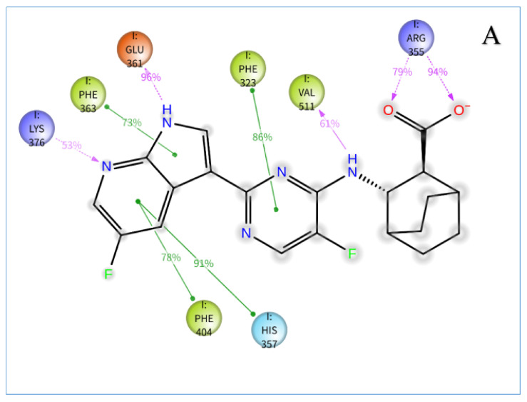 2D summary of interaction analysis results of PB2-ligand complexes. The interaction pairs that occurred during more than 30% of the simulation time are included. Shown are interactions between (A) VX-787 and PB2; (B) Str1614 and PB2; (C) Str1916 and PB2; (D) Str3107 and PB2; (E): Str5776 and PB2; (F) Str6318 and PB2; and (G) Str7374 and PB2.