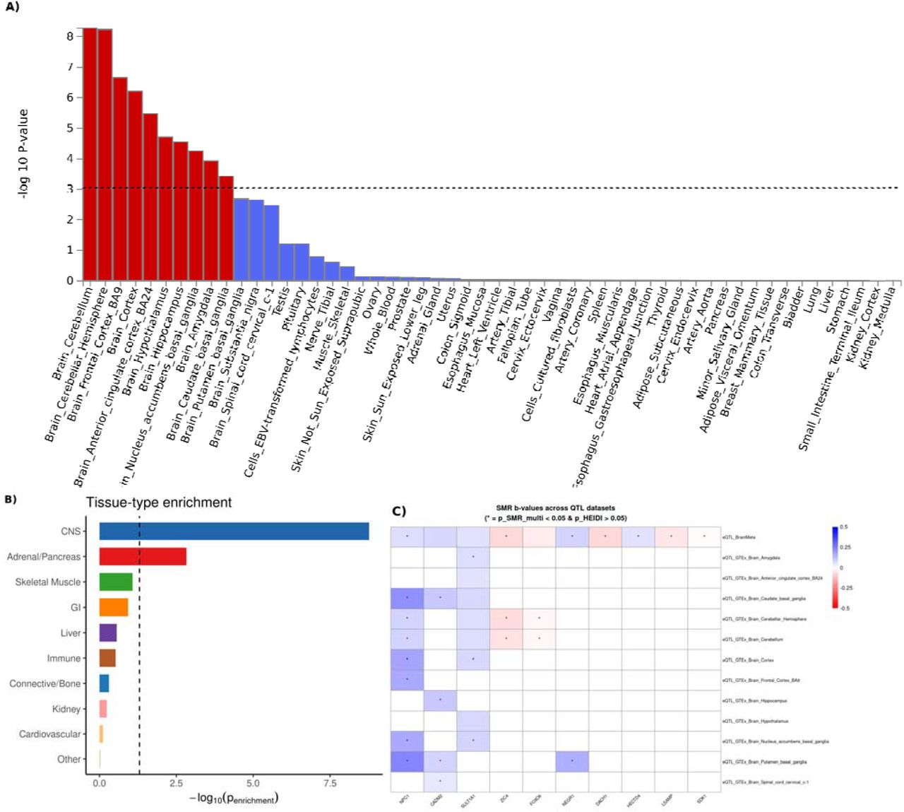 Enrichment of cannabis use summary data primarily seen in brain tissue types and brain cell types.A) Tissue Enrichment analysis in FUMA showing enrichment isolated to the brain. B) Stratified LDSC analysis by tissue, demonstrating the strongest enrichment within the central nervous system (CNS). C) Tile plot of Summary-based Mendelian Randomization (SMR) analysis showing significant colocalization between cannabis use and Brain QTL datasets across 10 independent lead variants. D) Stratified LDSC analysis highlighting enrichment by specific brain cell types