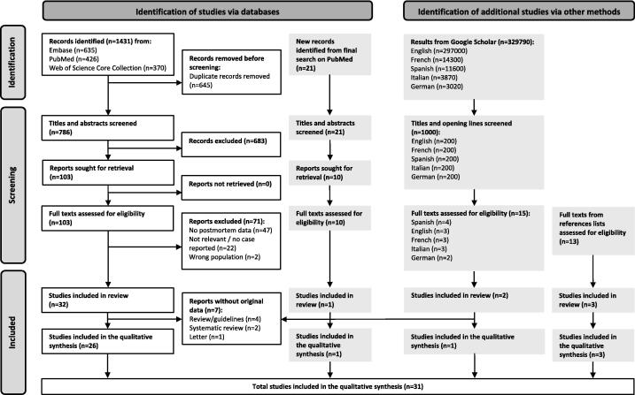 Flow diagram of the scoping review.