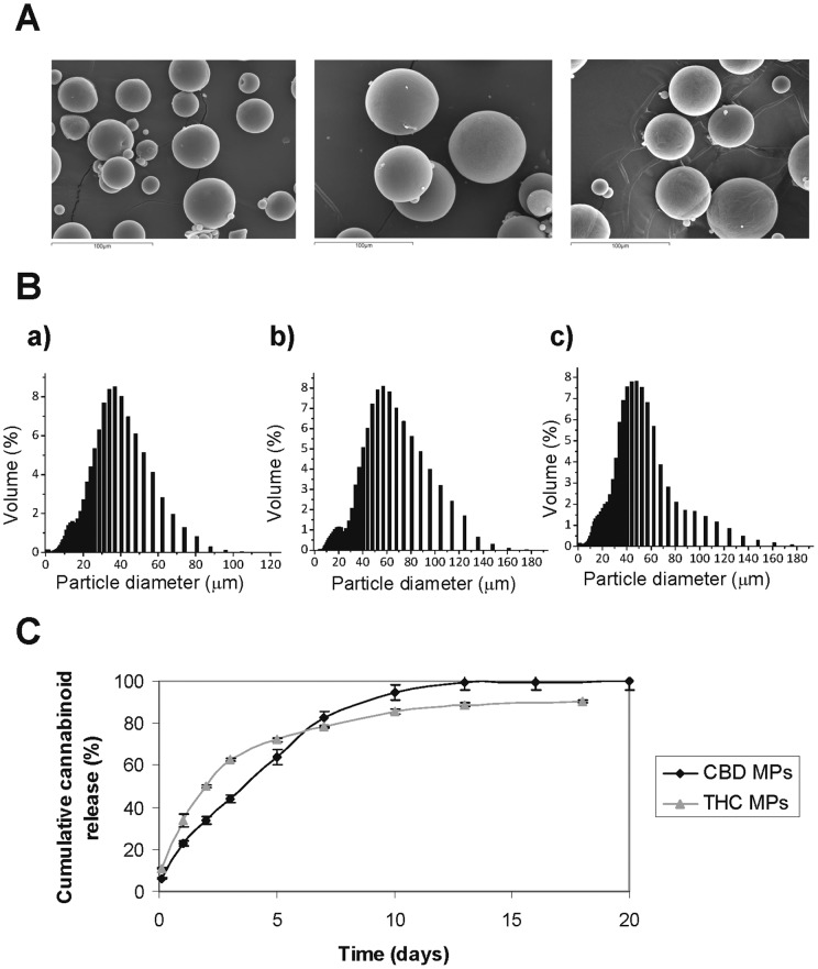 Characterization of cannabinoide-loaded microparticles.(A) Scanning electron microscopy (500X) of blank, CBD- and THC-loaded PCL MPs. Representative microphotographs of the three types of MPs are shown. (B) Particle size distribution of blank, CBD- and THC-loaded microspheres. Results correspond to microsphere diameter determined by percentage volume distribution. (C) Cannabinoid release profiles of THC and CBD-loaded PCL microspheres. For the in vitro release studies, microspheres were incubated in PBS pH 7.4-Tween®80 0.1% (v/v) and maintained in a shaking incubator at 37°C. At predetermined time intervals supernatants were withdrawn and media was replaced. The concentration of CBD or THC in the release medium was quantified by HPLC. Data correspond to the cumulative amount of each cannabinoid released at the indicated time points, and are expressed as mean percentage of released cannabinoid relative the total amount of cannabinoid loaded into the microspheres ± s.d (n = 3).
