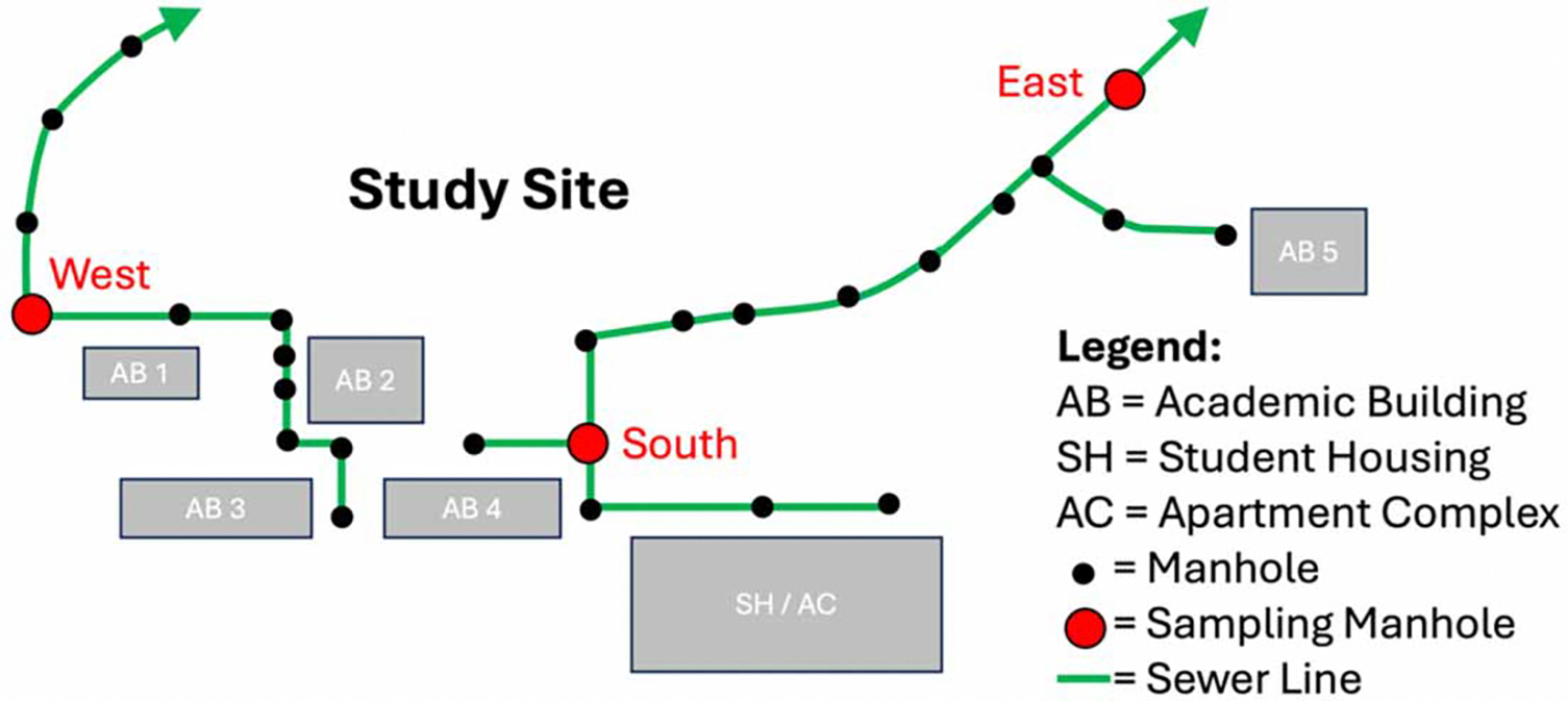 Map of the university campus and associated sewer infrastructure. See Figure S1 for a photo of the South manhole illustrating how student housing complex flows were isolated.