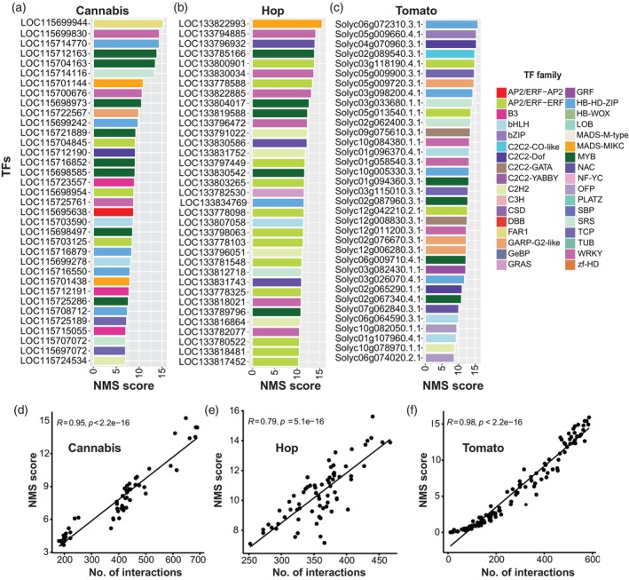 Transcription factors (TFs) associated with glandular trichome (GT)‐specific gene regulatory networks (GRNs).(a) Ranking of genes associated with cannabis, (b) hop and (c) tomato GT GRNs based on their network motif score (NMS). The top 35 genes (all of which are TFs) are shown. TFs are colour‐coded according to TF families for ease of visualisation. The correlation between NMS and number of TF–target interactions for all TFs included in the (d) cannabis, (e) hop and (f) tomato GT GRNs.