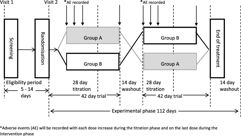 The key phases of the 18-week trial