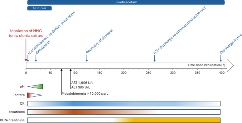 Evolution of the patient's clinical and biological parameters during hospitalization. The patient initially presented a lactic acidosis, followed by a rhabdomyolysis-induced acute kidney injury peaking at D4. Supportive management led to the progressive recovery of renal function. ALT, alanine aminotransferase; AST, aspartate aminotransferase; BUN, blood urea nitrogen; CK, creatine kinase