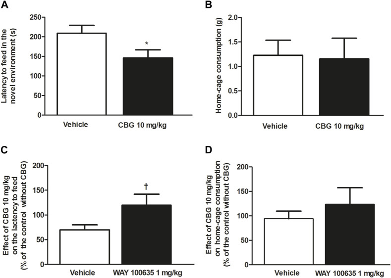 Effect of CBG on the anxiety-like behavior in rats by the NSFT and the involvement of 5-HT1A receptor (A) Time latency to feed in the novel environment (s) and (B) home-cage consumption (g) in rats treated with the vehicle (up to 10 mL/kg, i.p., n = 20) or CBG (10 mg/kg, i.p., n = 13). Values are the mean ± SEM of n animals (C) Effect of CBG (10 mg/kg, i.p.) on the latency to feed and on home-cage consumption (D) in the absence of WAY100635 (1 mg/kg, i.p., n = 13) and in rats pretreated with WAY100635 (1 mg/kg, i.p., n = 12). Values are the mean ± SEM of the effect of CBG on the latency to feed or home-cage consumption in n animals, calculated as the percentage of the value of their corresponding control groups without CBG. *p < 0.05 compared to the time latency to feed in the vehicle-treated group by the unpaired Student’s t-test. †p < 0.01 compared to the effect of CBG in the absence of WAY100635 by the unpaired Student’s t-test.