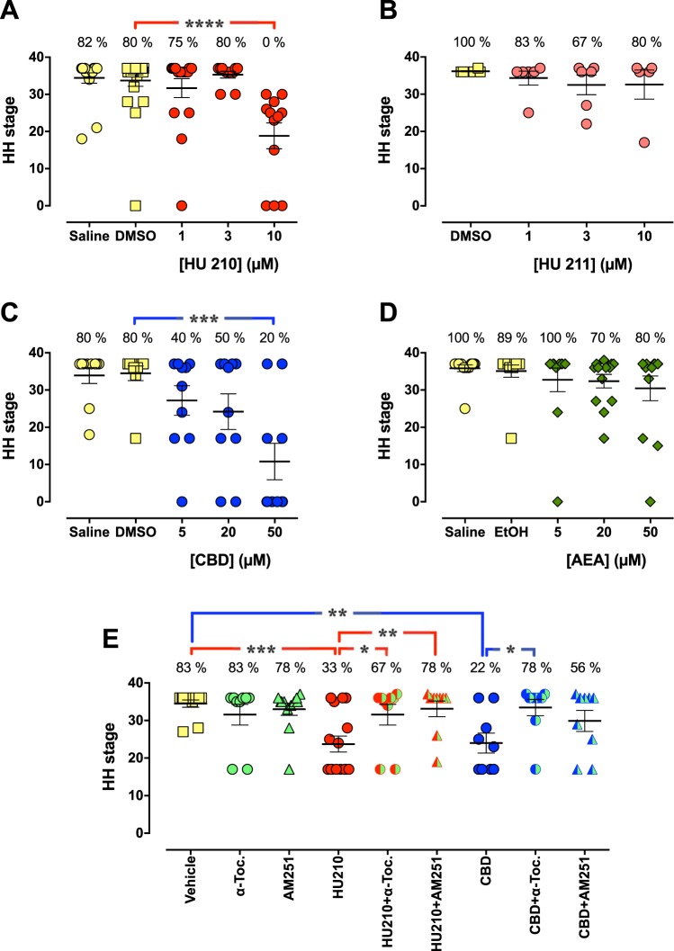 Concentration-dependent effects of HU 210 (A,E), HU 211 (B), CBD (C,E), and AEA (D) on the development and survival of chick embryos. The protective effects of 100 µM α-tocopherol (α-Toc.) or 1 µM AM251 against the embryotoxic effects produced by 10 µM HU 210 or 50 µM CBD are shown in (E). The embryos were treated in ovo with the test compounds by repeated injections (after 1, 4 and 7 days) in the yolk. On day 10, the eggs were cracked and embryos were analyzed in terms of their viability (as indicated in panels as percentage live embryos) and anatomical stage according to the Hamburger-Hamilton scale. Shown are dot plots with means ± SEM of 6–25 individual embryos per treatment. Statistically significant differences (one-way ANOVA with post-hoc Dunnett´s multiple comparison test) are indicated as: *P < 0.05, **P < 0.01, ***P < 0.001, or ****P < 0.0001, when the HH stage at each CB treatment group is compared with corresponding vehicle (0.05% DMSO or EtOH) controls, and in (E) when the combination of CB + α-Toc. or AM251 are compared with CB treatment per se.