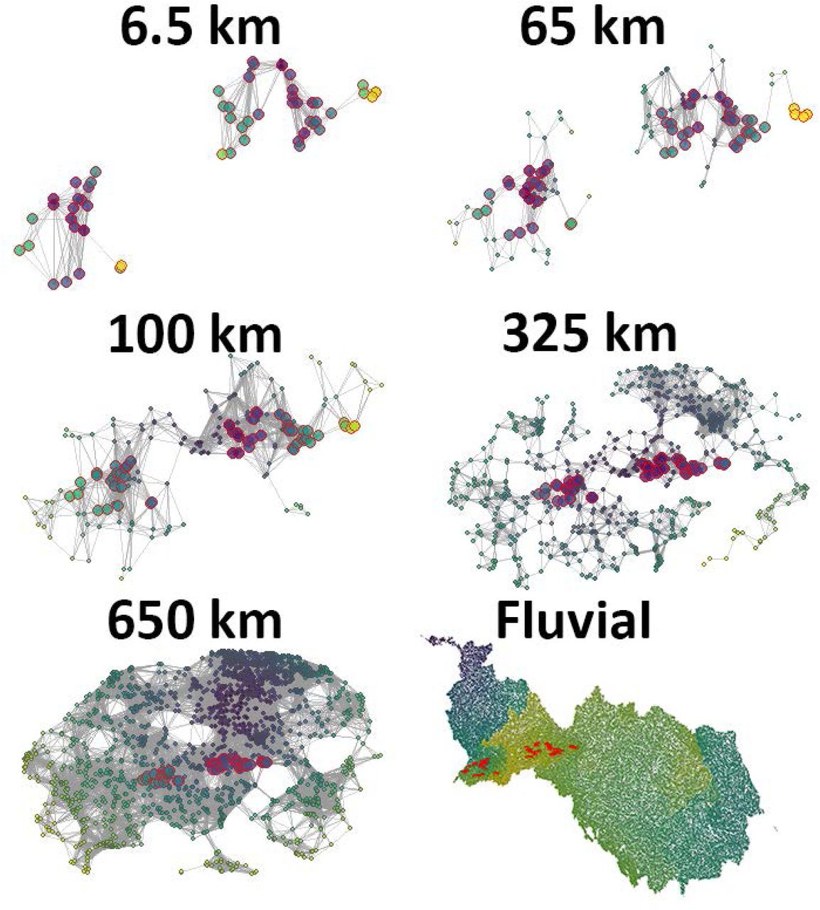 The five networks generated using global lakes database. From top-left to bottom-right there is 6.5 km, 65 km, 100 km, 352 km, 650 km, and fluvial respectively. Red contoured circles indicate the 55 sampled lakes. Circle fill colours indicate closeness centrality being the more purple/blue circles the ones more centrally located and green/yellow circles the ones in a more isolated position.
