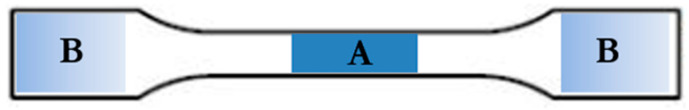 Areas of the sample for hardness testing.