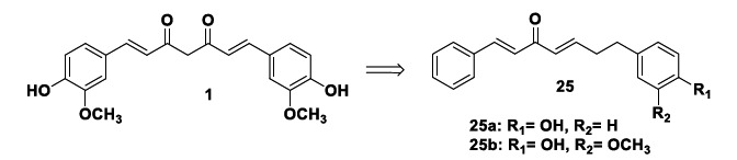 Chemical structures of the mono-ketone curcumin analogues 25a and 25b.