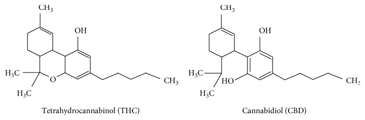 Tetrahydrocannabinol and cannabidiol chemical structure.