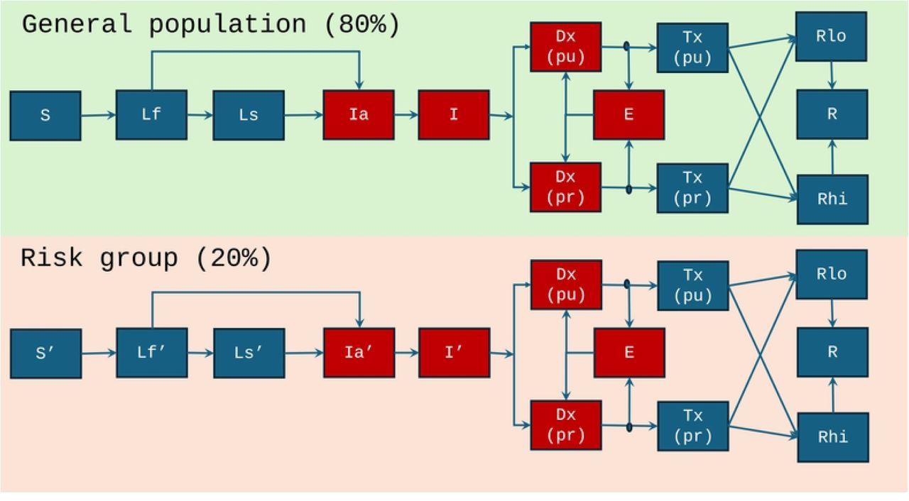 Schematic model diagram.Compartments in red show infectious states. In the top panel, green-shaded area represents general population and the bottom panel in risk group. The progression and reactivation rate to disease in risk group population is higher than the general population.