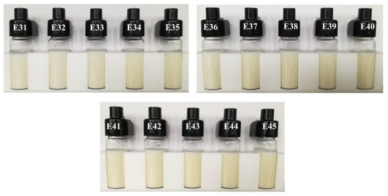Photographs of systems E31–E45 after 30 days of storage at 25 °C.