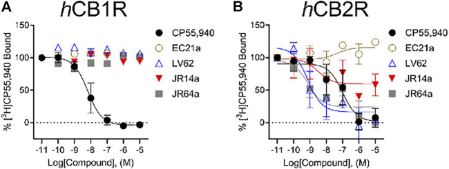[3H]CP55,940 binding to hCB1R and hCB2R. Membranes from CHO-K1 cells stably-expressing hCB1R (A) or hCB2R (B) were incubated with 1 nM [3H]CP55,940 and 0.10 nM—10 μM compounds for 2 h. Data are expressed as % [3H]CP55,940 bound. Data were fitted to a non-linear regression (3 parameter model to estimate changes in displacement [IC50] which was substituted for EC50, GraphPad v. 9.0). Data are mean ± S.E.M. of at least three independent experiments performed in duplicate. Data from these graphs is presented in Table 2.