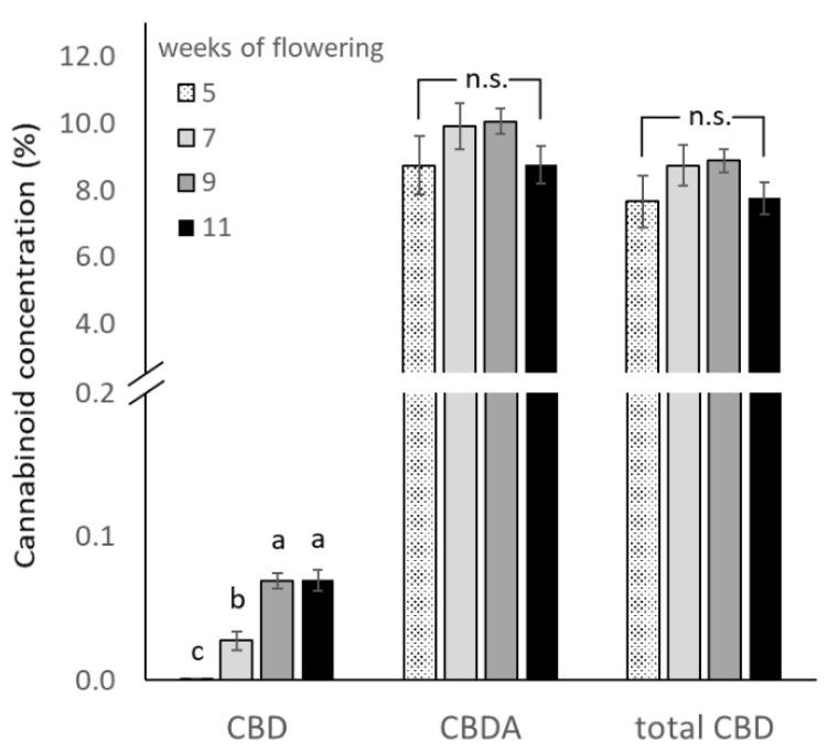 Least square means (±standard error) of CBD, CBDA and total CBD concentration (in % of inflorescence dry weight) for the four harvest times (weeks of flowering). For CBD values, means with at least one identical letter are not significantly different from each other according to Fisher´s LSD test with α = 0.05. Values for CBDA and total CBD are not significantly (n.s.) different from each other according to global F-test.