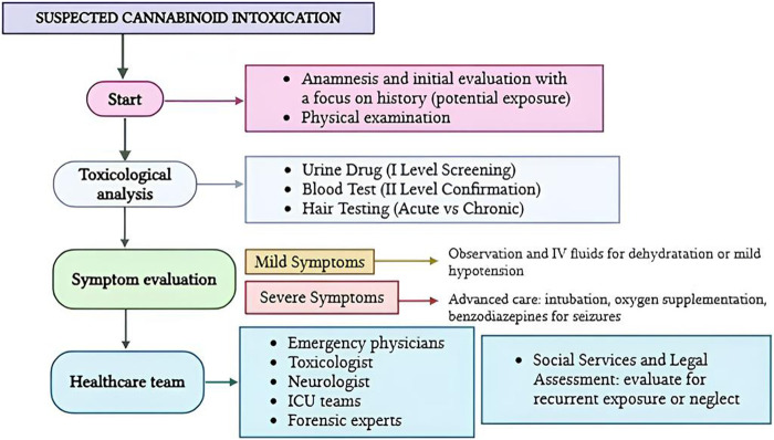 Flow diagram illustrating the patient management in cases of paediatric cannabinoid intoxication.