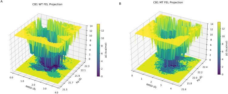 3D FEL projections for WT (A) and MT (B) trajectories, showing conformational stability and energetic states as a function of RMSD and radius of gyration (Rg).
