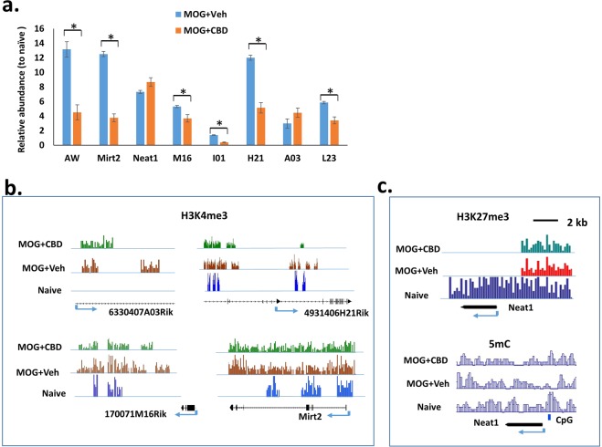Expression and histone/DNA methylation of lncRNAs in splenic CD4+ T cells. The exprsession of select lncRNA in splenic CD4+ T cells was determined by real time PCR. The amount in cells from naïve mice was set as 1. (a) Relative exprssion level of lncRNAs in MOG-induced EAE mice treated with vehicle (MOG + veh) or CBD (MOG + CBD). (b) Histone H3K4me3 methylation in the selected lncRNA genes as determined by ChIP-seq. (c) Histone H3K27me3 methylation and 5mC in Neat1 gene.