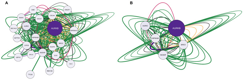 Network interactions between calcitriol and anxiety targets. (A) Complete network containing 21 nodes. (B) Filtered network composed of 5 nodes was obtained using the parameters: network based on the degree center (DC) > 5, betweenness centrality (BC) range of 0.034–0.900, and closeness centrality (CC) range of 0.528–1.000. The largest node indicates a higher degree in the network. The color of the edges refers to the types of interactions: physical interactions (green), co-expression (yellow), shared protein domains (pink), co-locations (blue), predictions (gray), genetic interactions (purple), and metabolic pathways (black).